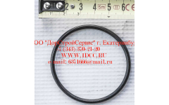 Кольцо уплотнительное ø346х3.5 гидромуфты ГТР CDM 855, 843 фото Ульяновск