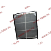 Радиатор WP10 SH SHAANXI / Shacman (ШАНКСИ / Шакман) DZ9112539268 фото 2 Ульяновск