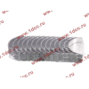 Вкладыши коренные стандарт +0.00 (14шт) LONGGONG CDM833 Lonking CDM (СДМ) 13034908/13034916 фото 2 Ульяновск